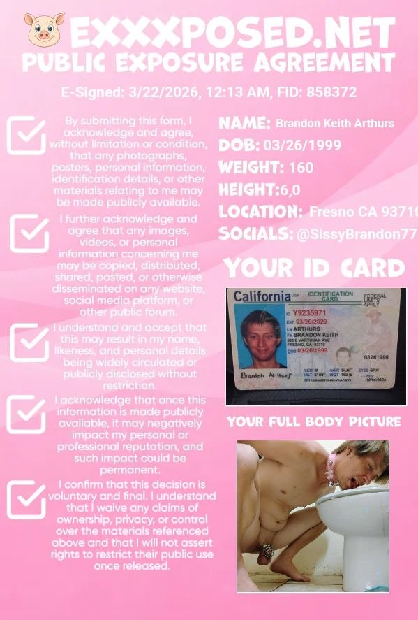 BetaTyler02 tweet media