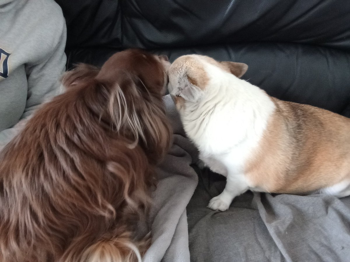 Geek Inked Girl tweet media