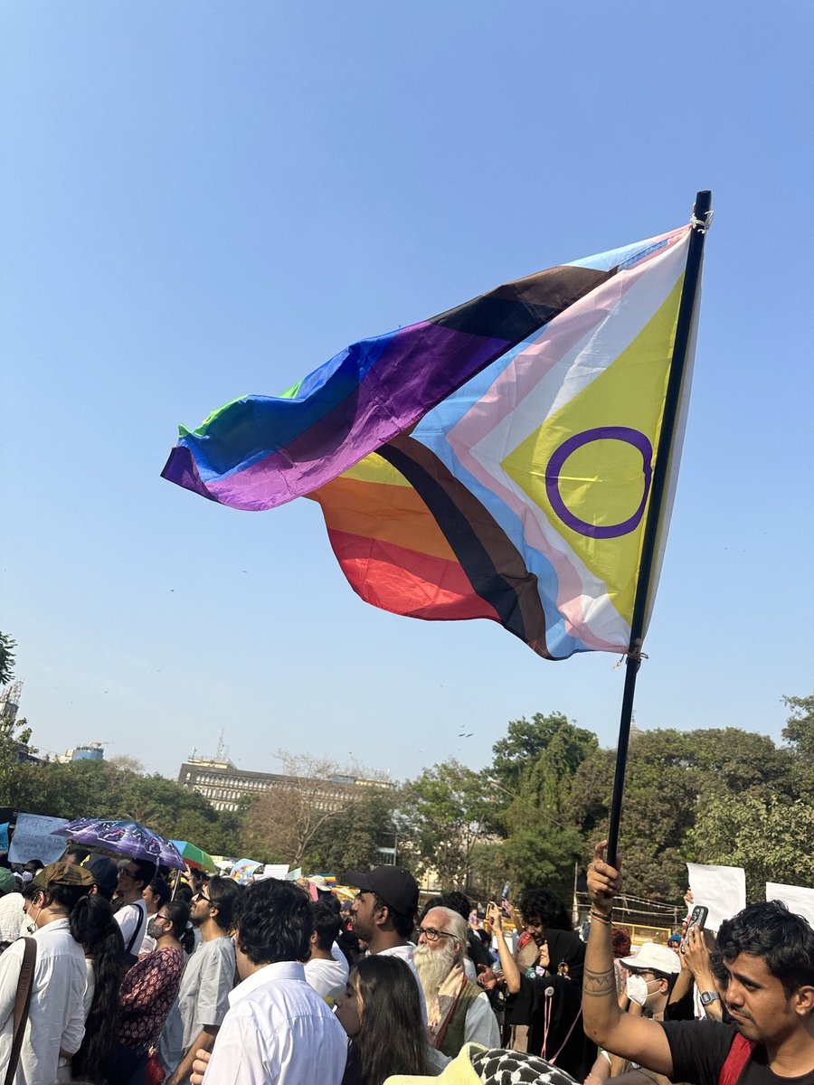 Sir bartholomew hamish montgomery🇵🇸 tweet media