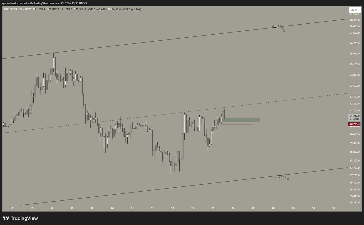 Safa Peçe tweet media