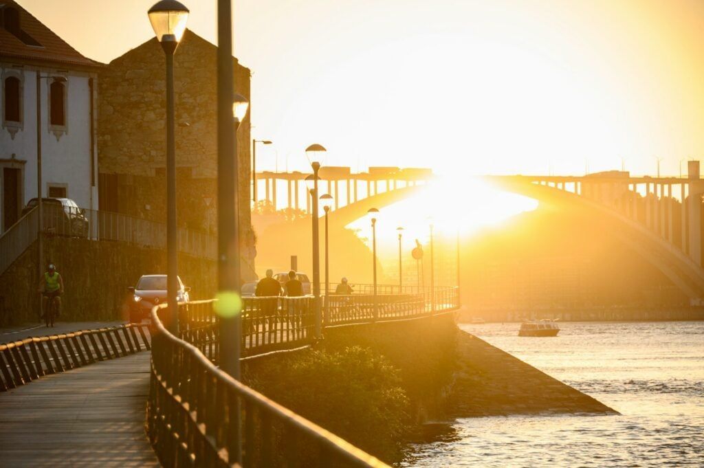 Portugal.com tweet media