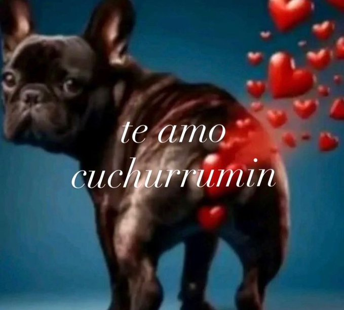 ࣼ aye ღ’s sanie tweet media