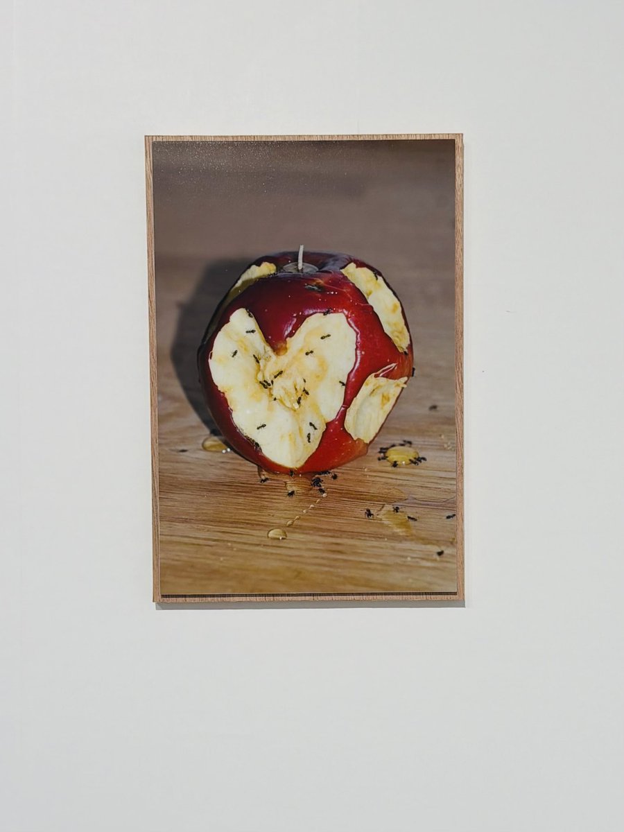 ぷらいまり。 tweet media