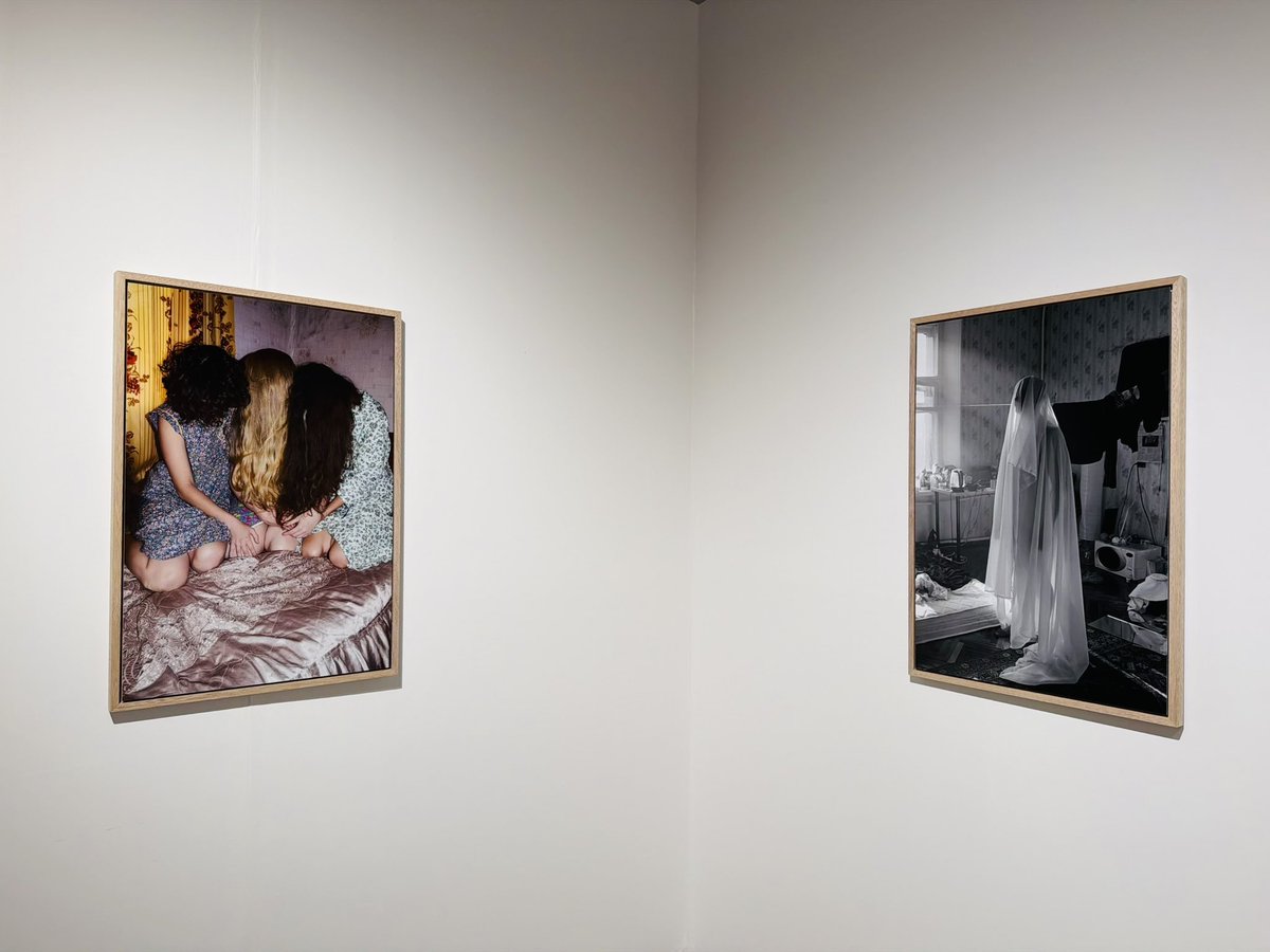 ぷらいまり。 tweet media