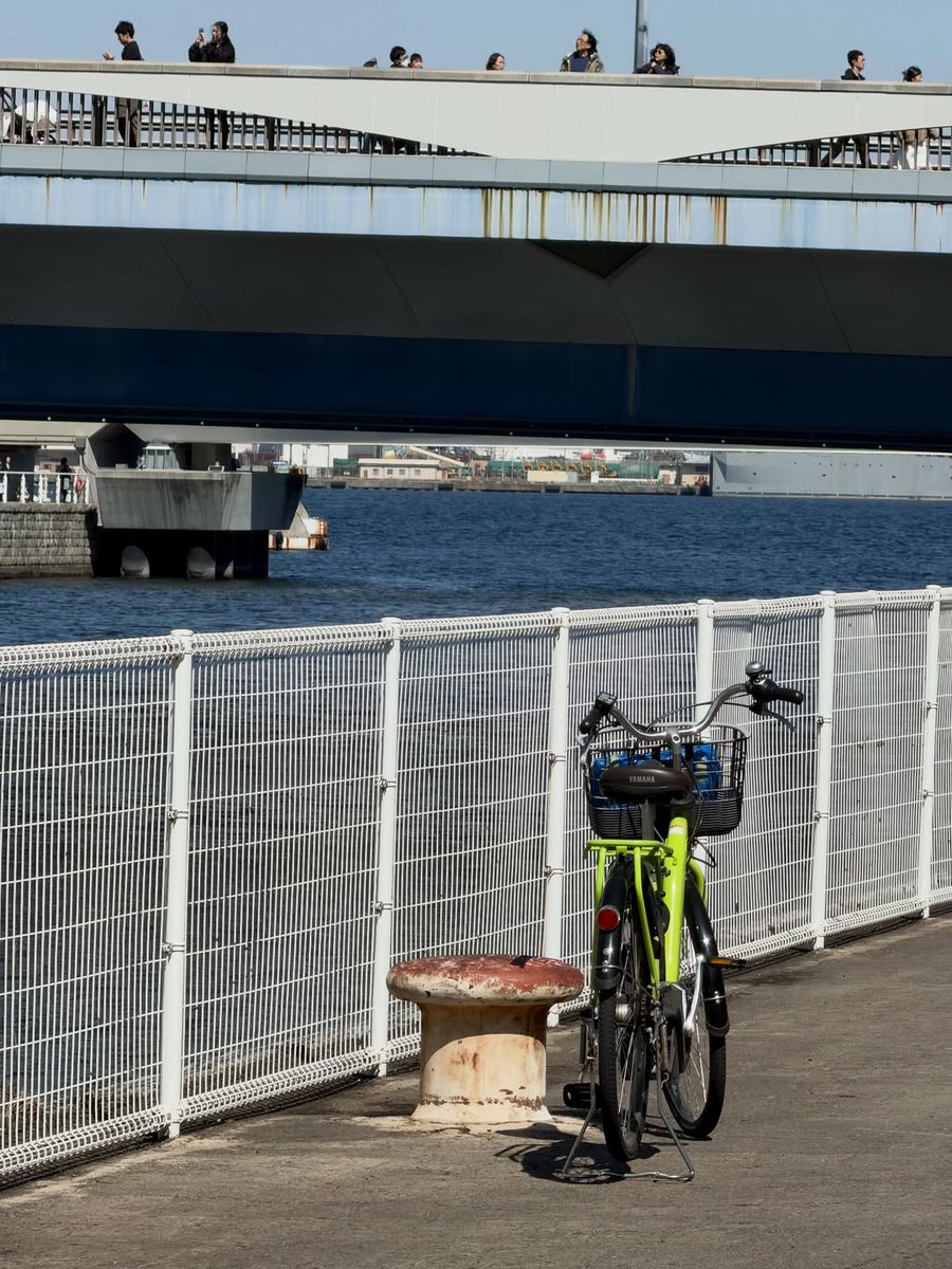 mikki gallery tweet media