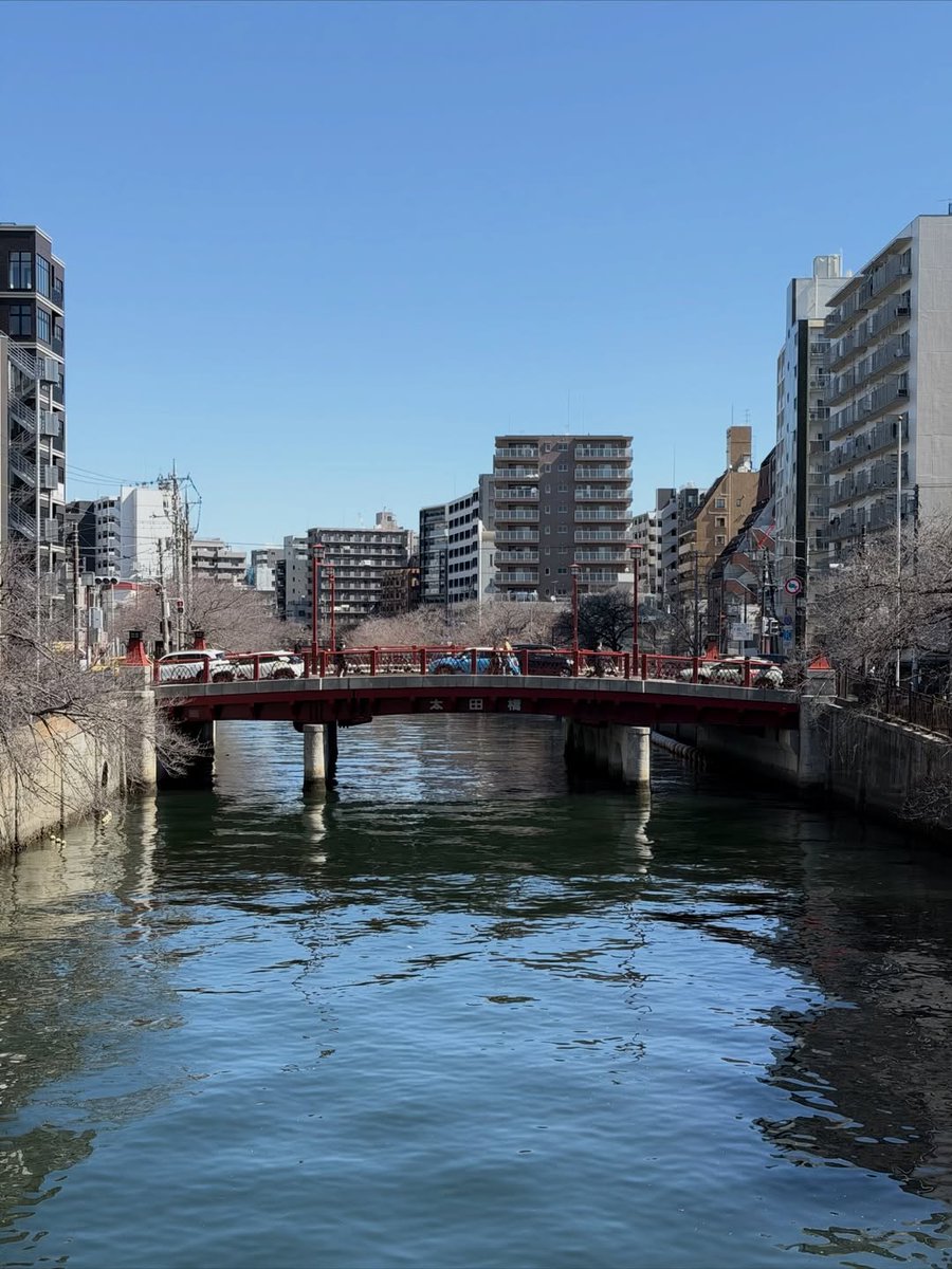 mikki gallery tweet media