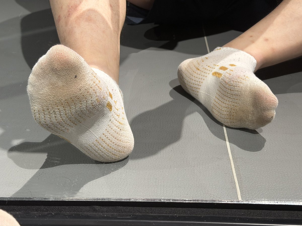 Bardbear tweet media