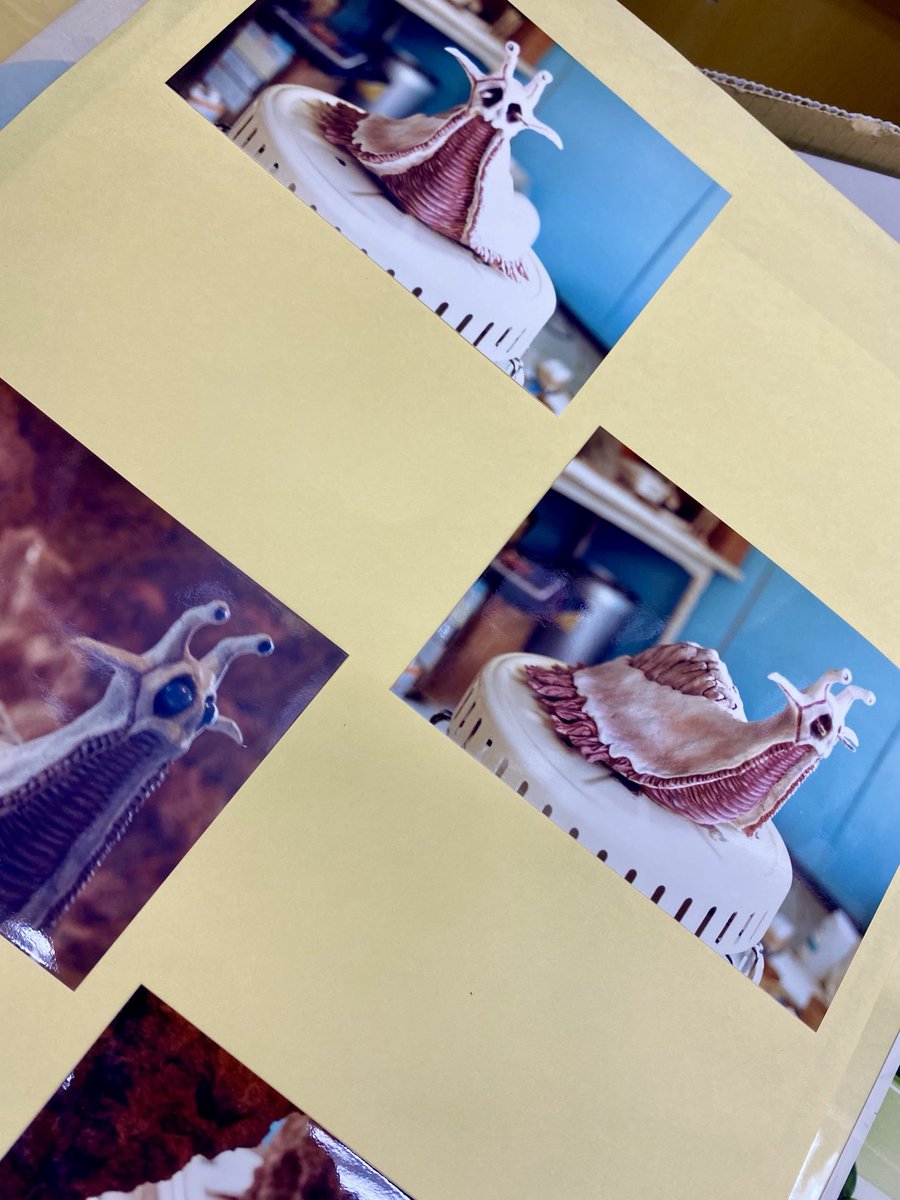 岡部淳也 tweet media