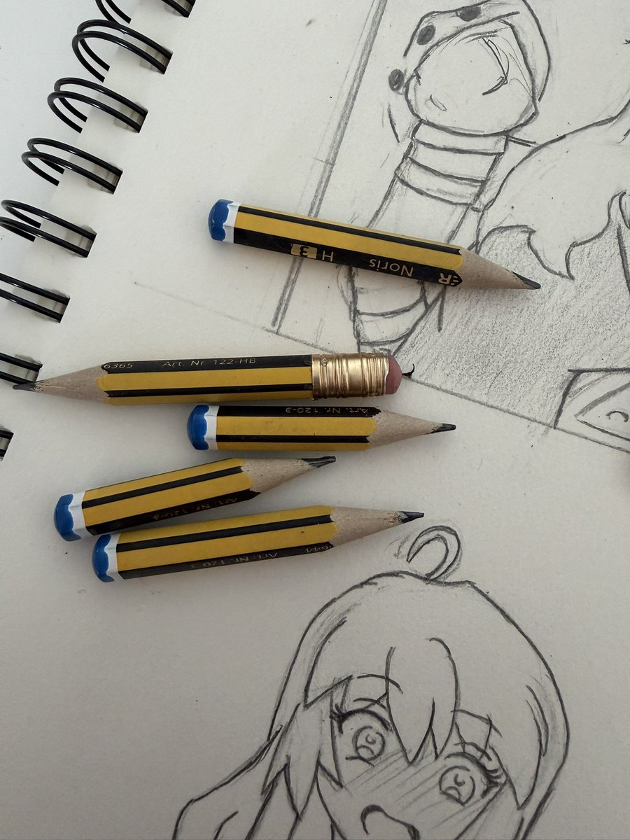 🐦‍🔥Sellheim 🐦‍🔥 tweet media