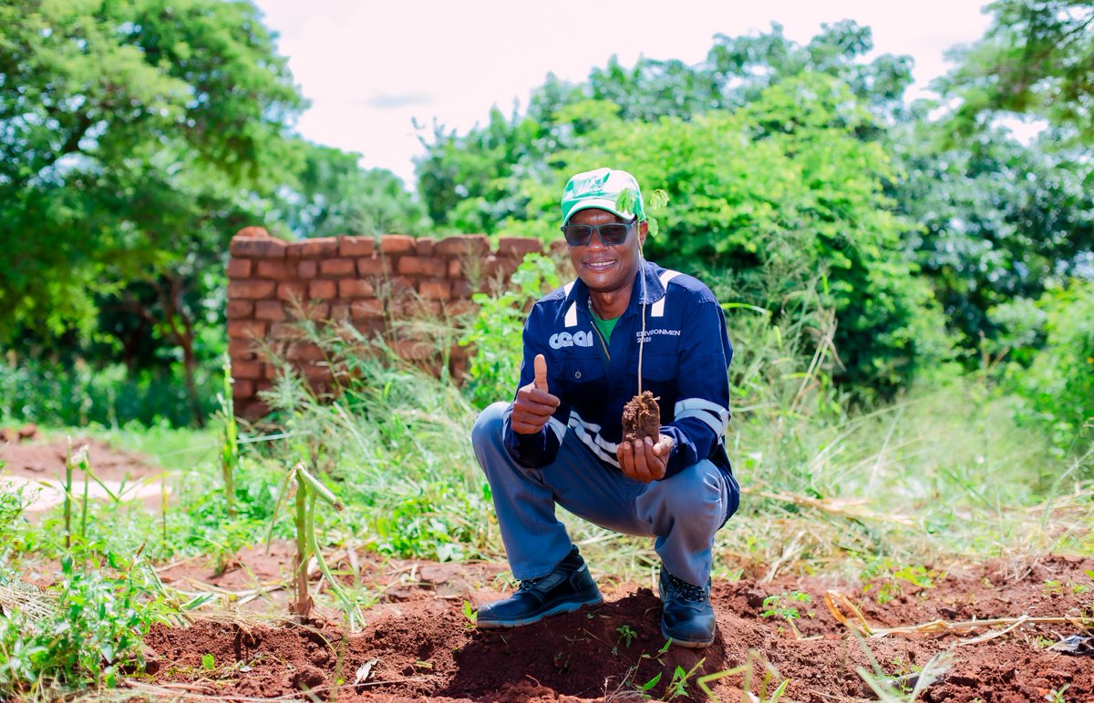 Nacala Logistics Malawi tweet media