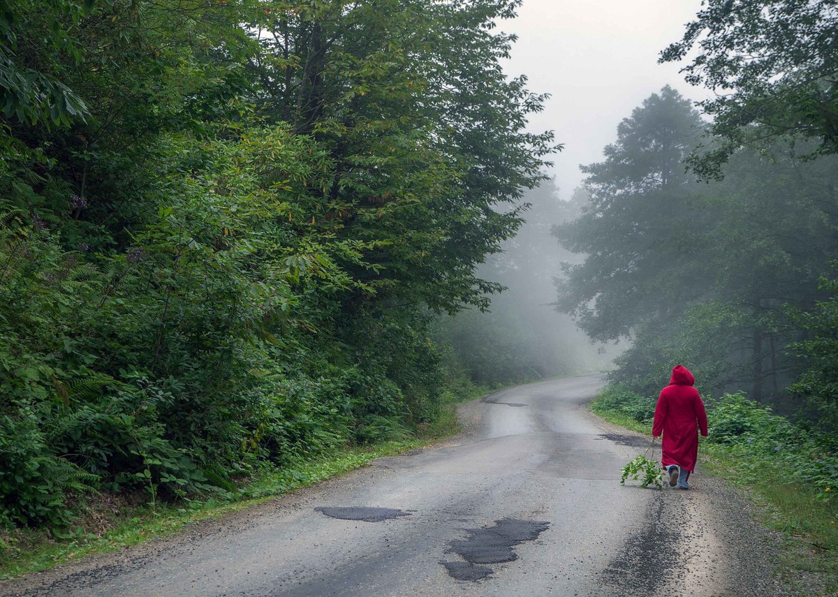 𝑴𝒂𝒚𝒖𝒅𝒓𝒐𝒑𝒔 tweet media