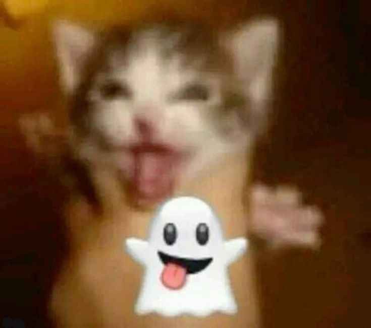 Jô 🫧 🪾 𖣂 ❦ ⚘ tweet media