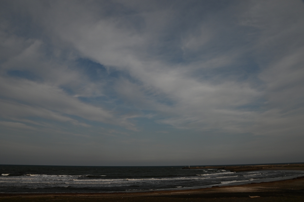 Zaurusu.y.加藤 tweet media