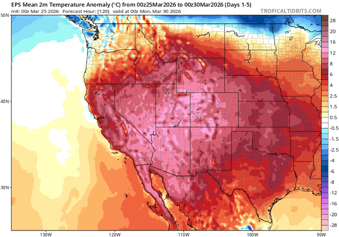 David Windt tweet media