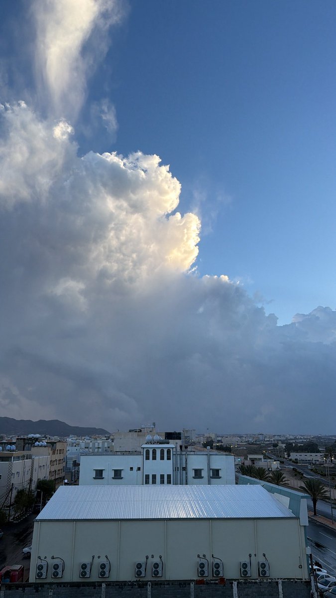 مُهند tweet media