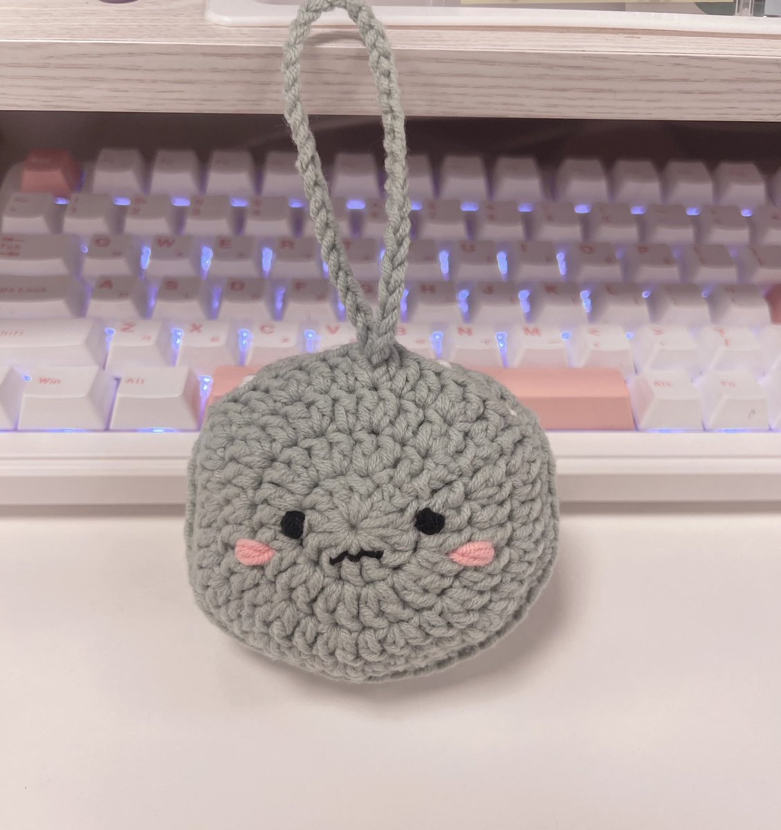 채또또 tweet media