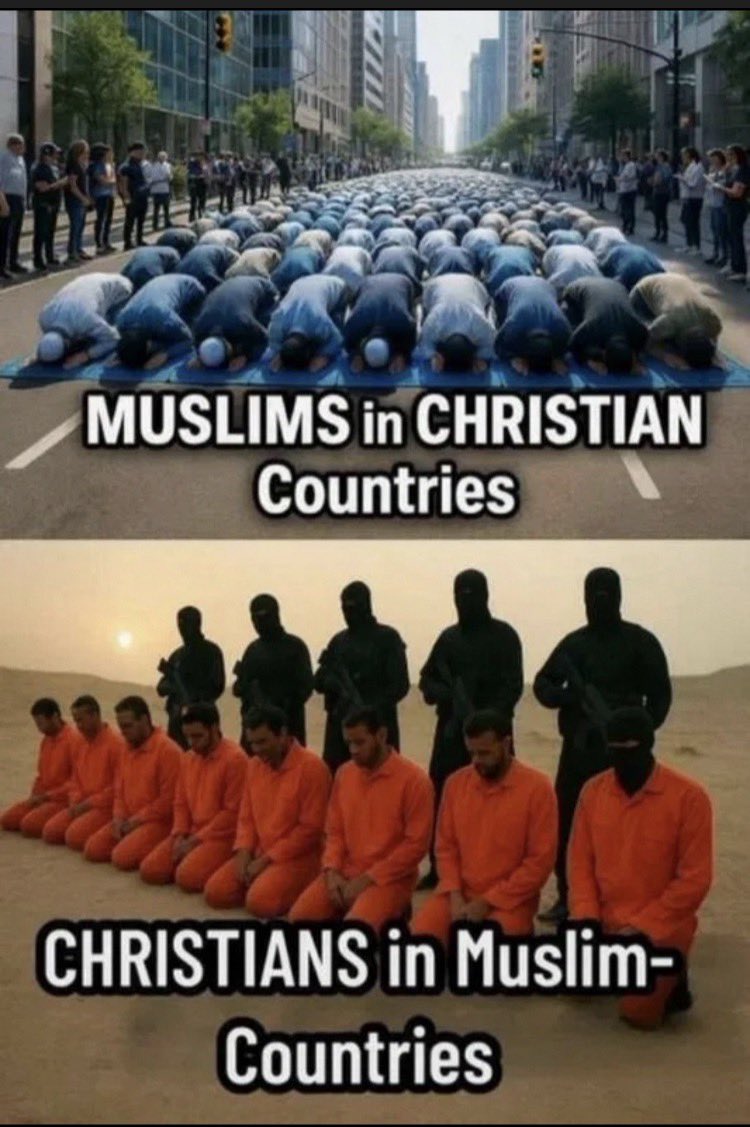 Spirited Warrior ✝️🇺🇸 tweet media