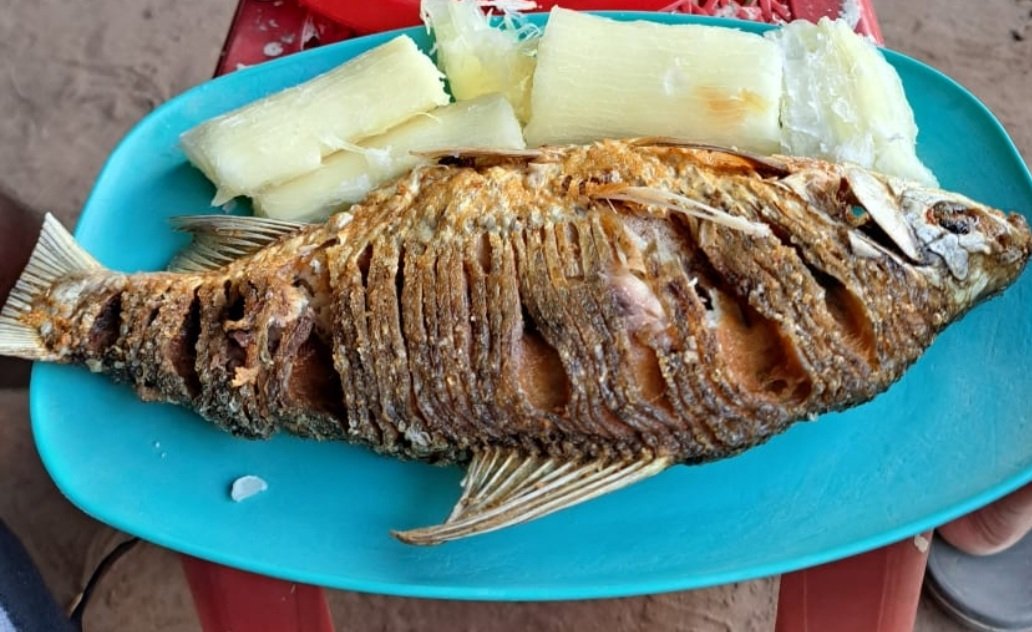 🍃🌸𝕰𝕽𝕴𝕹🌸🍃 tweet media