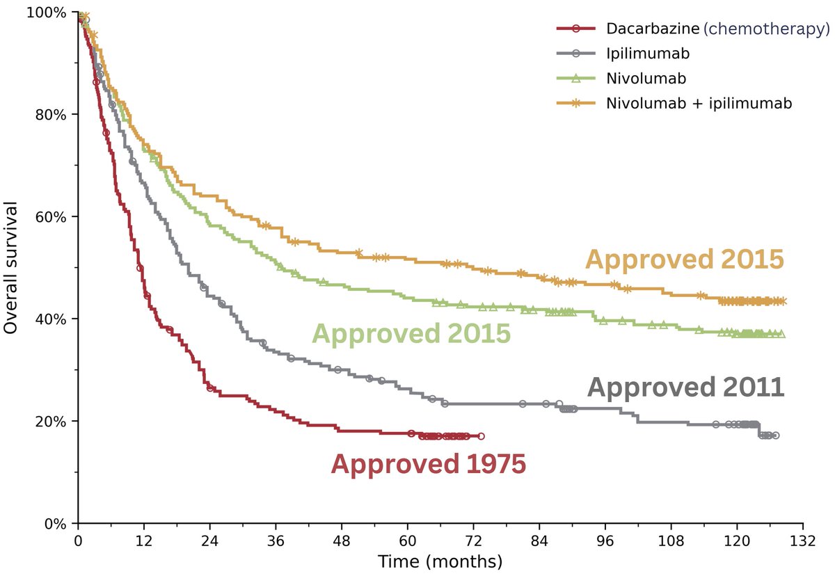 Samuel Hume tweet media