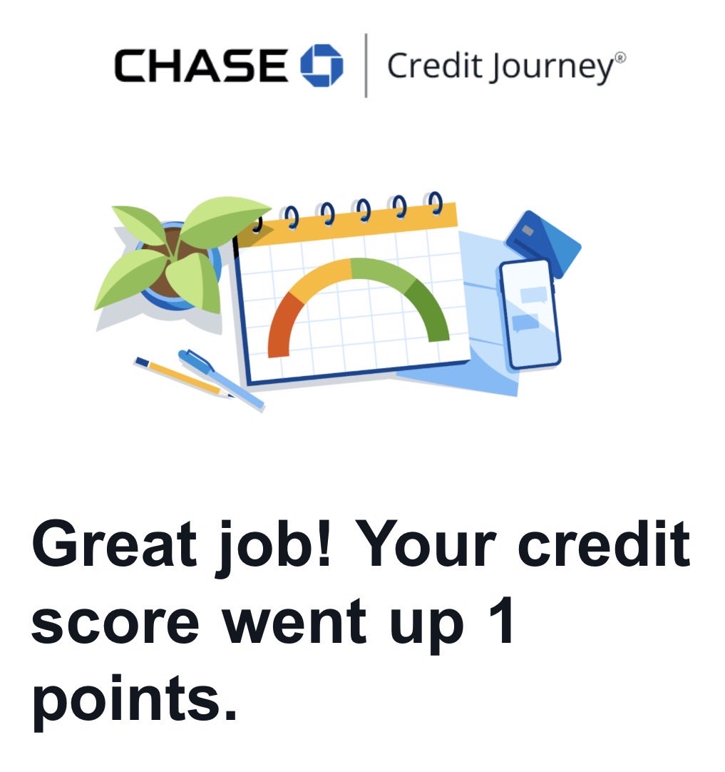 Evan Chipps tweet media