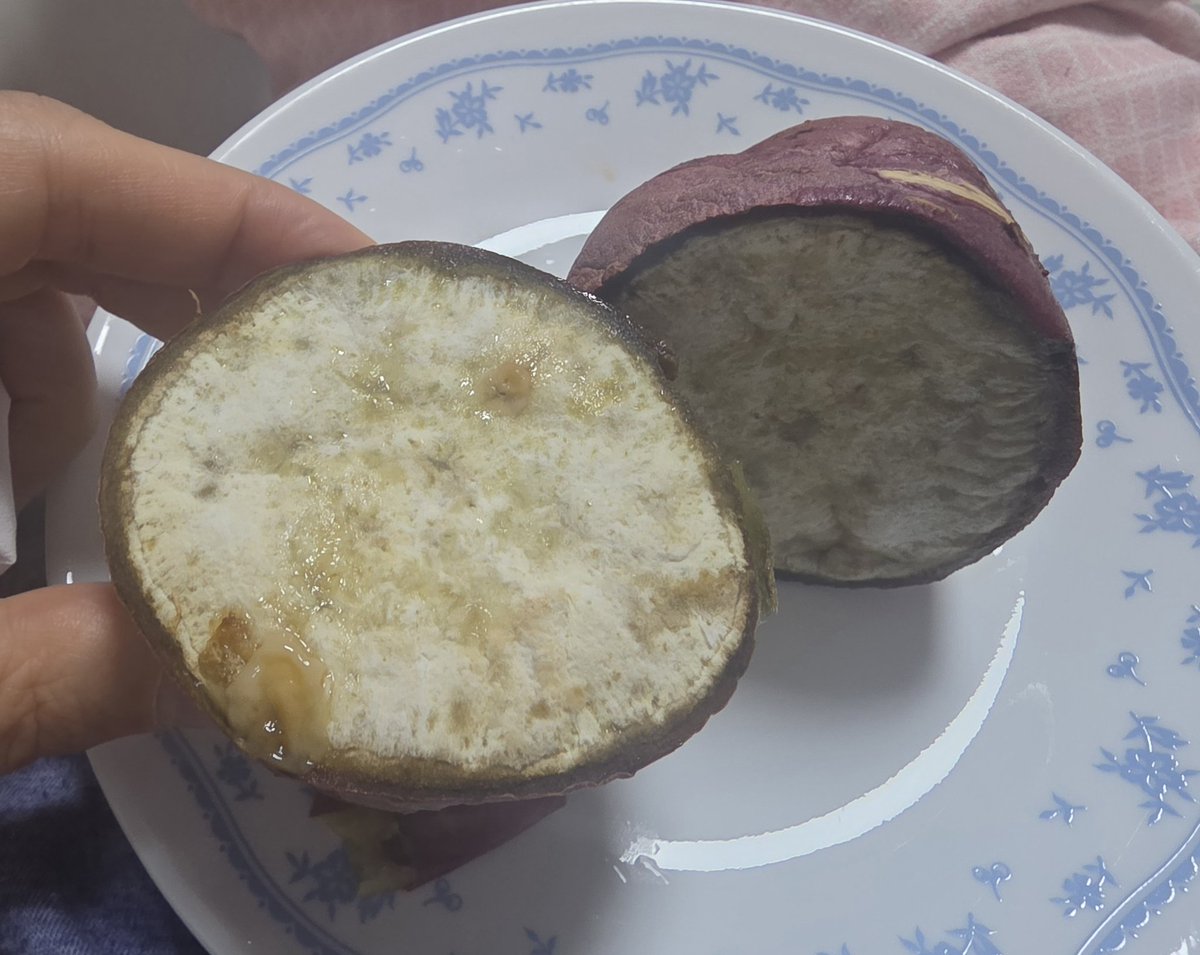 lucky sun tweet media