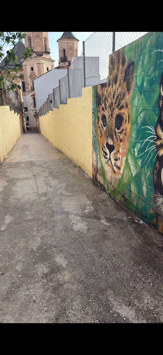 Limpieza de Málaga tweet media