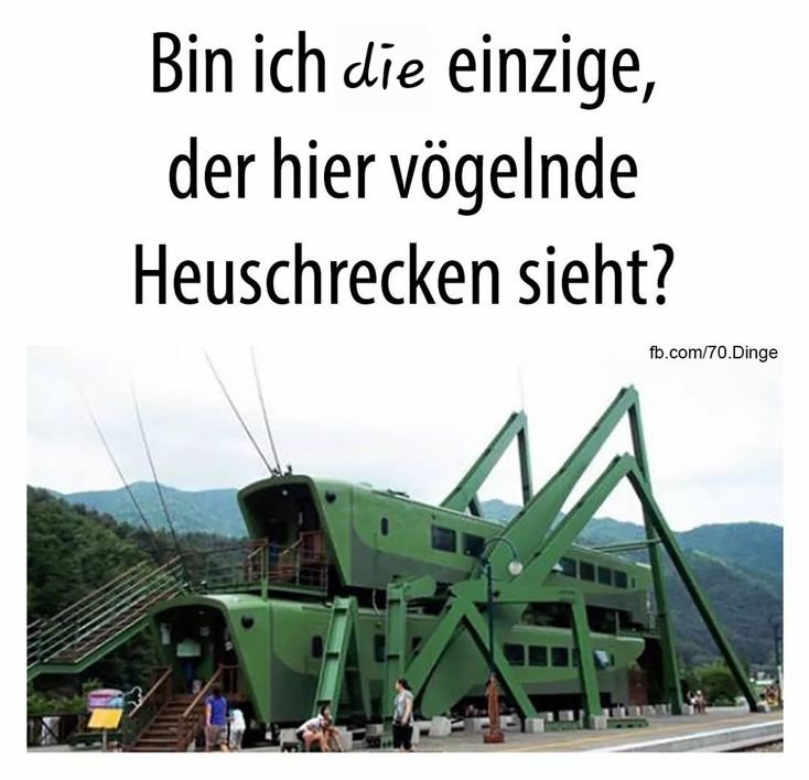 CrissyCat🕊😸 tweet media