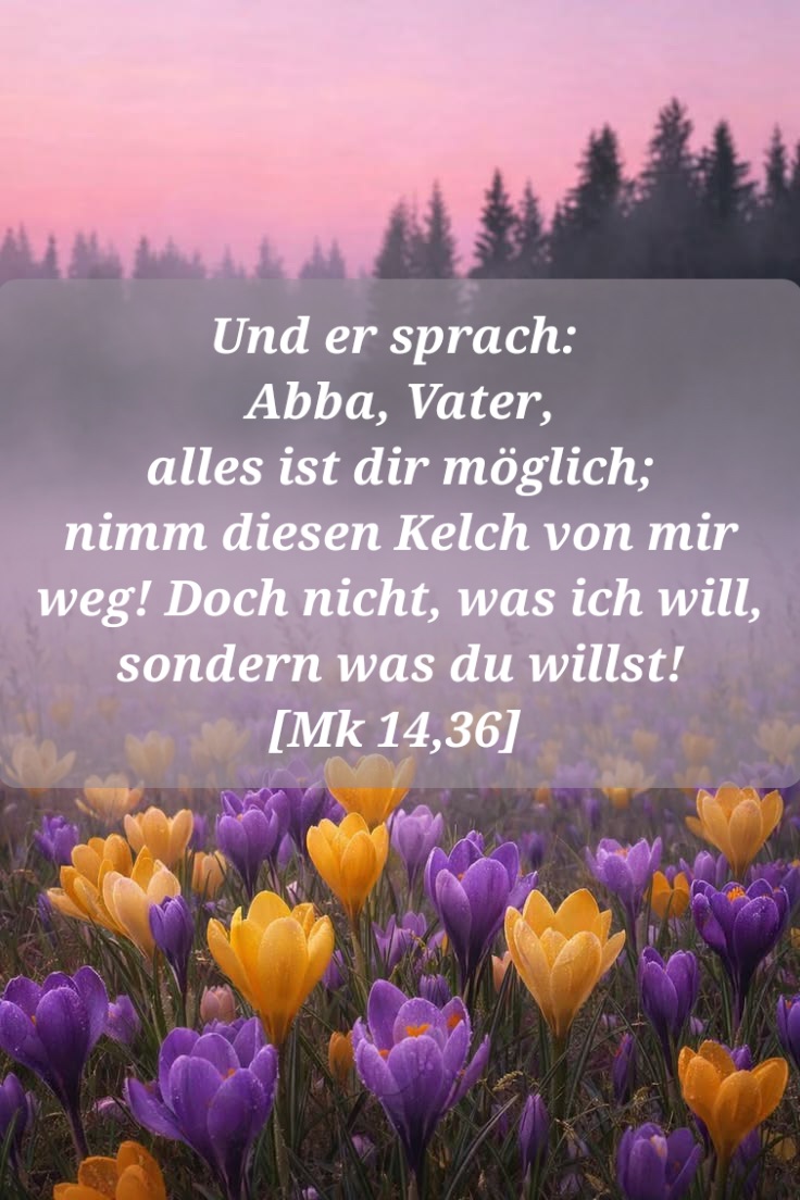 ꧁⎝𝔹𝕒𝕣𝕓𝕒𝕣𝕒⎠꧂ tweet media