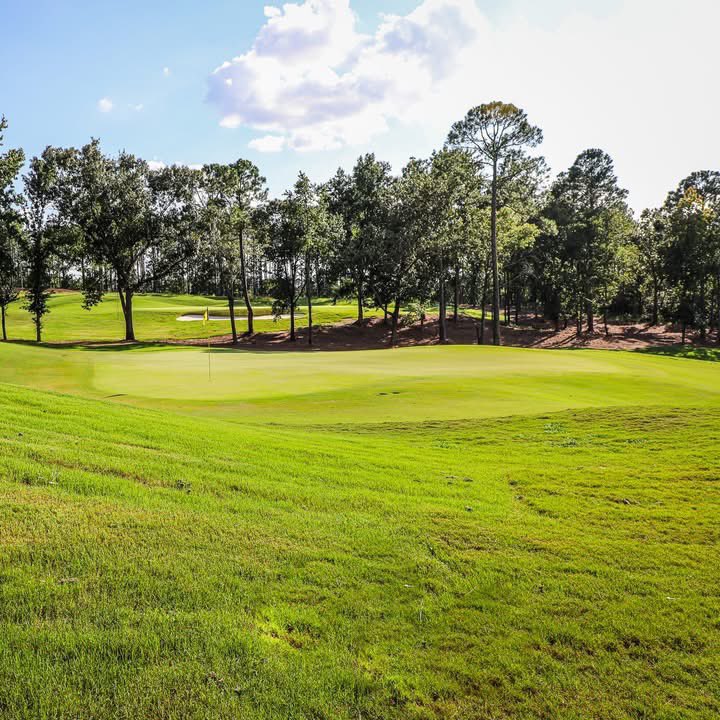 Carolinas GCSA tweet media