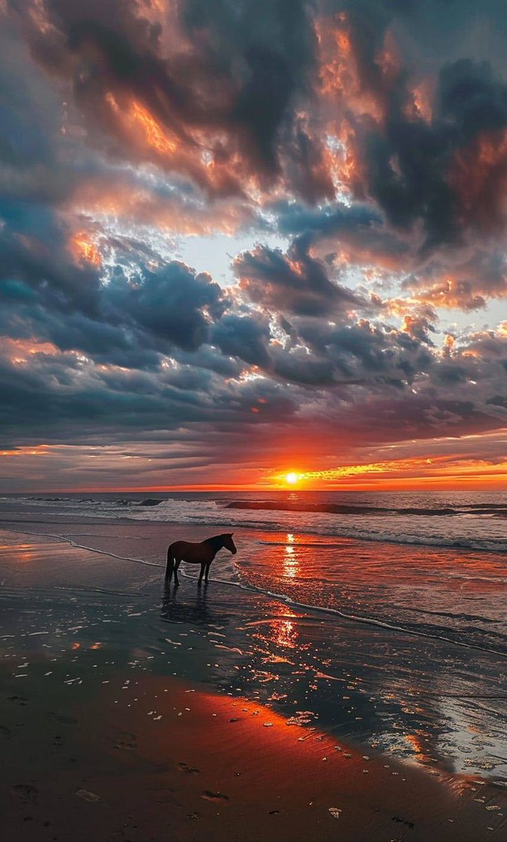 Nature Beauty tweet media