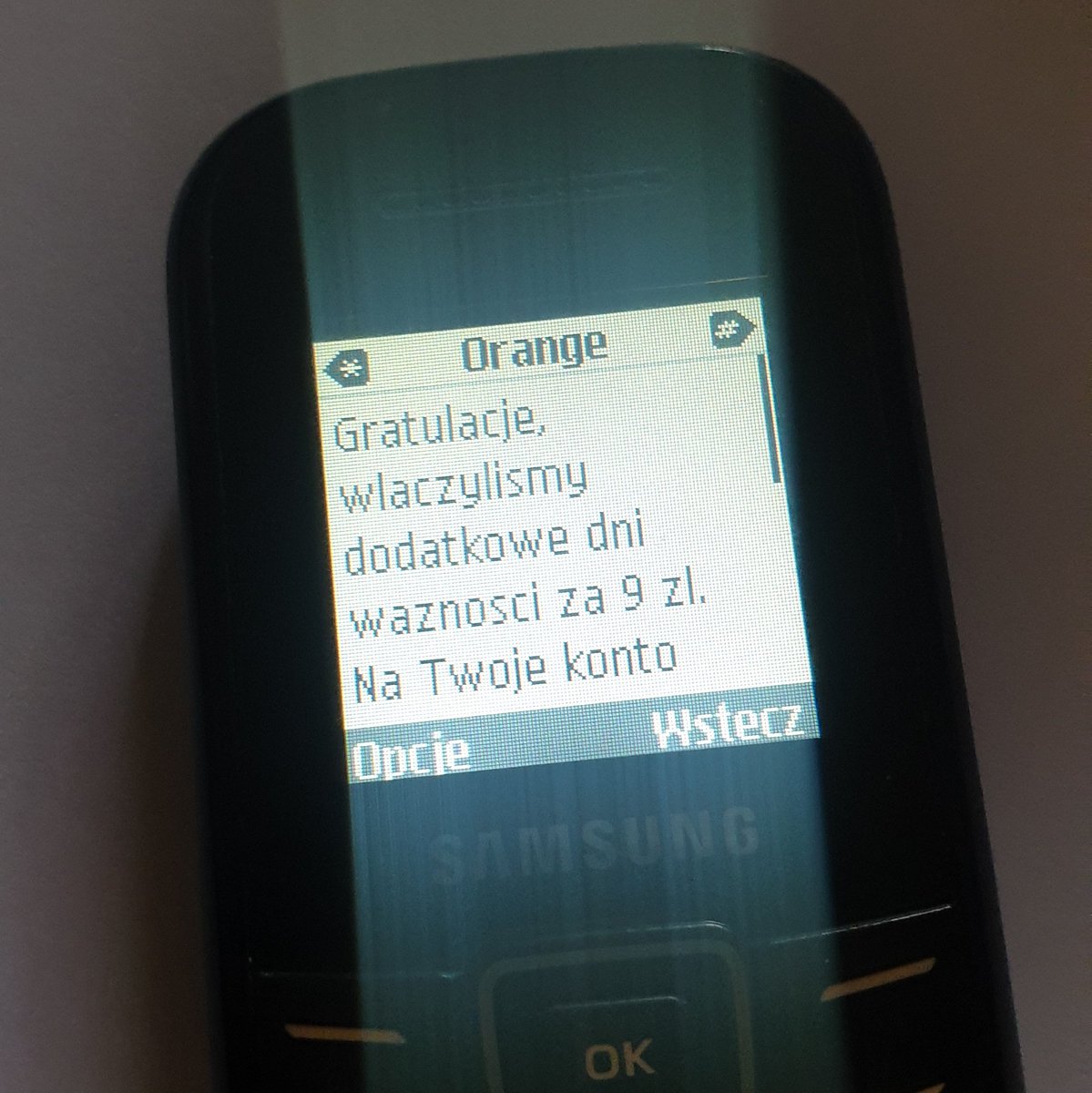 Kot Behemot tweet media