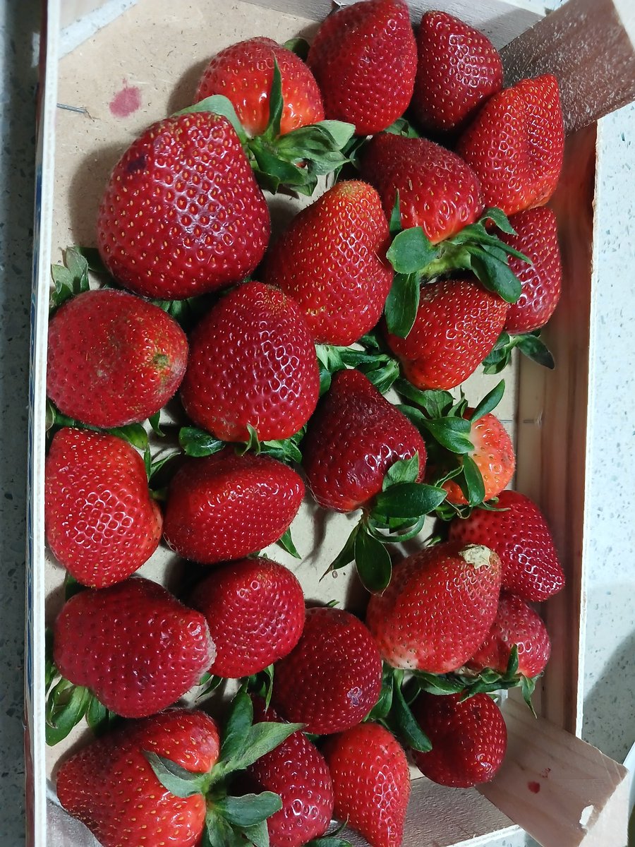 Ésser ⛈️🍂🍄 tweet media