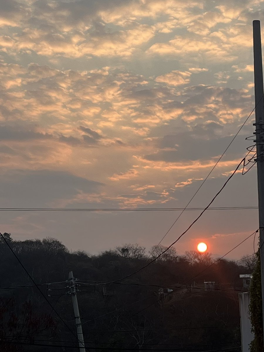 adrian benfield tweet media