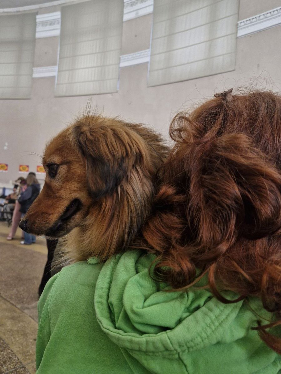 Дені tweet media