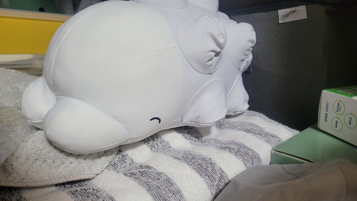 벼리ビョリ tweet media