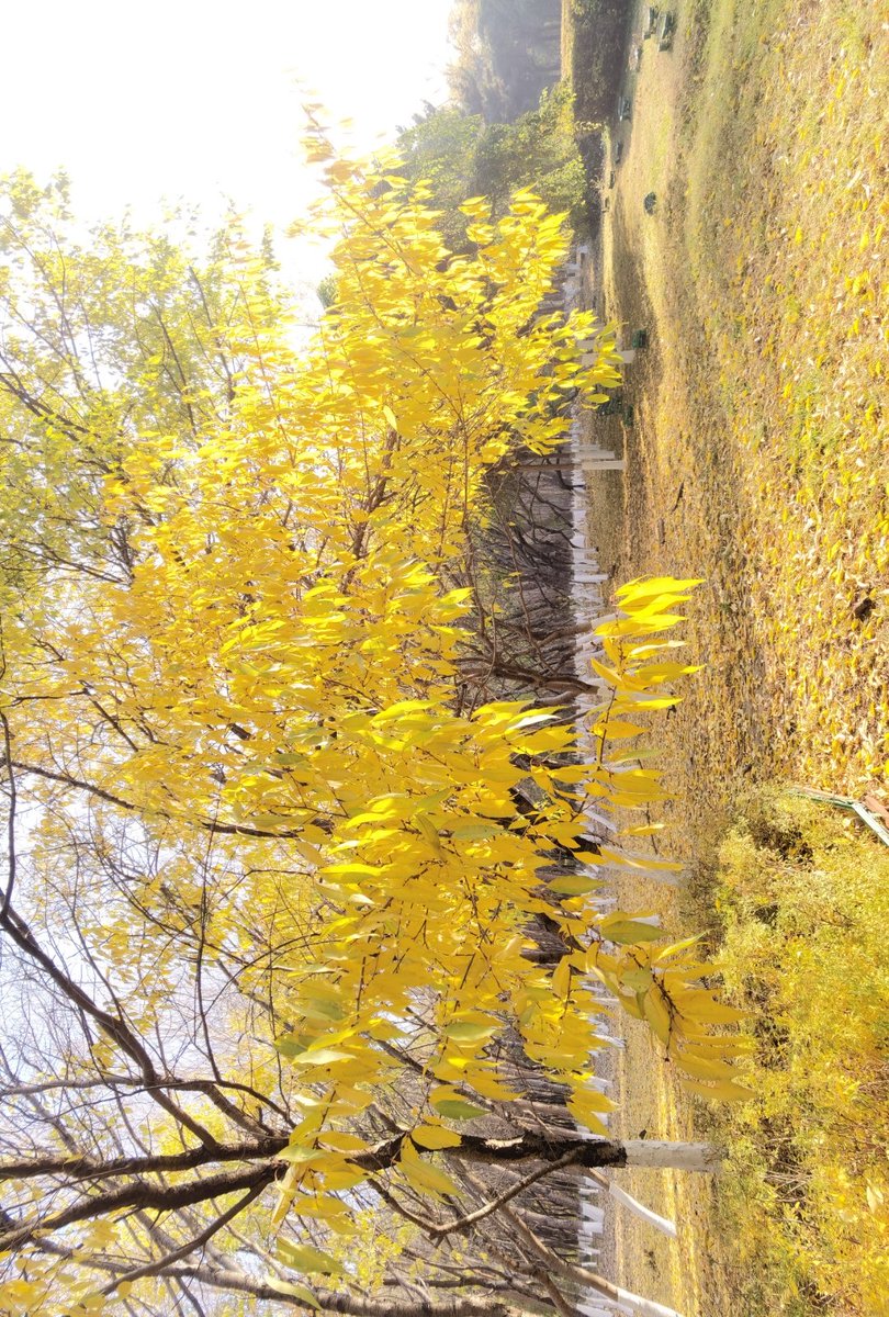 Marvin Winthorpe tweet media