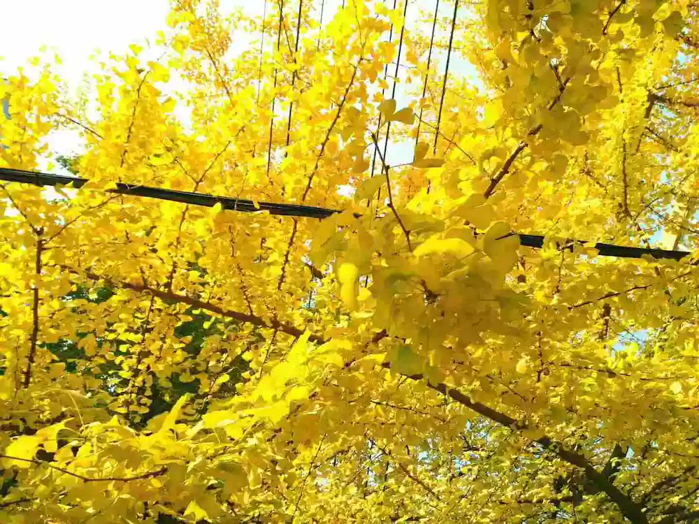 Katianne Navarro tweet media