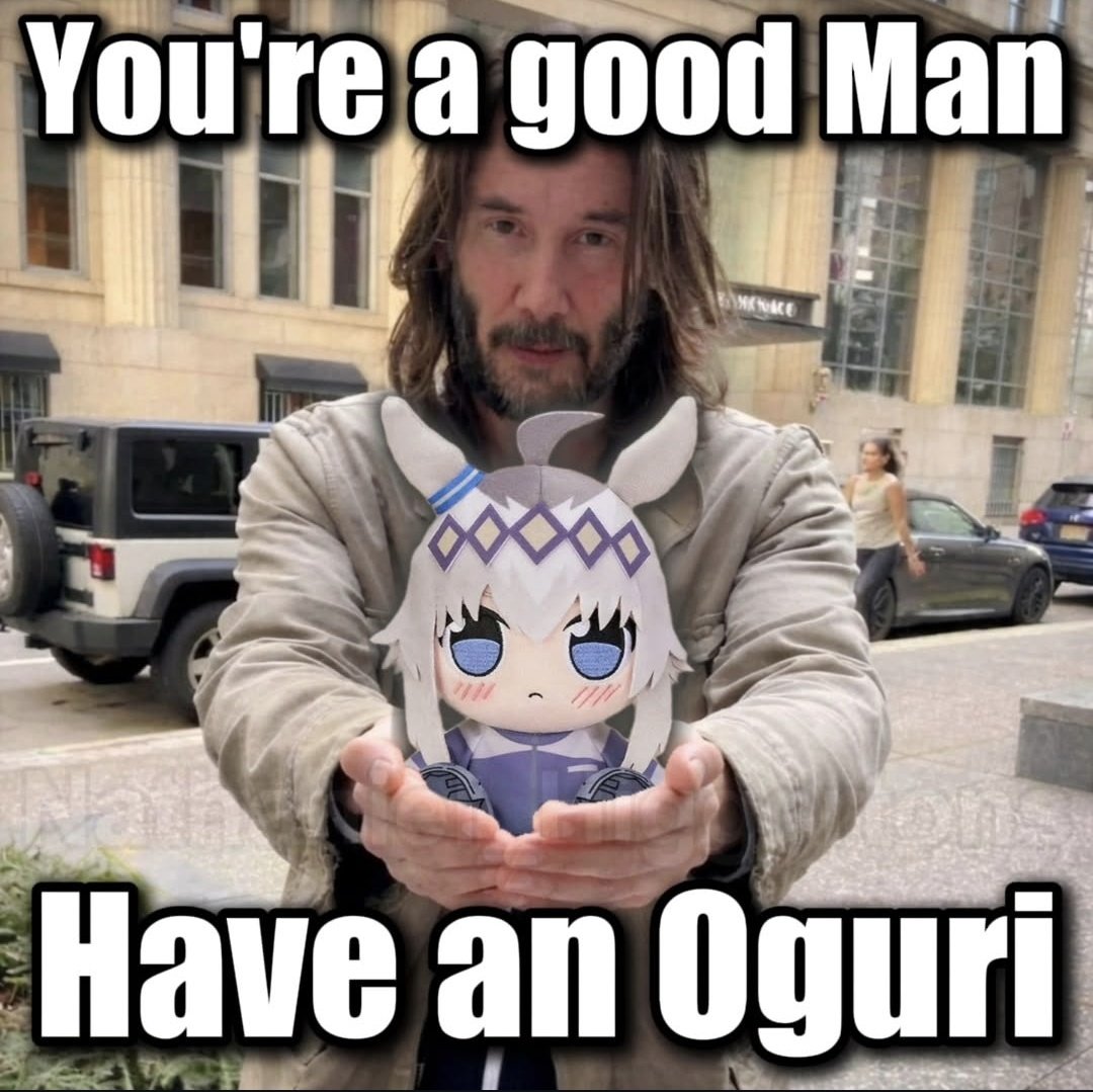 Apolo Festa tweet media