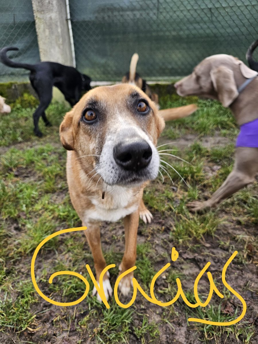 ᑭᏞᗩᑎᗴᎢᗩ Ꮓᗩᖇᑭᗩ tweet media