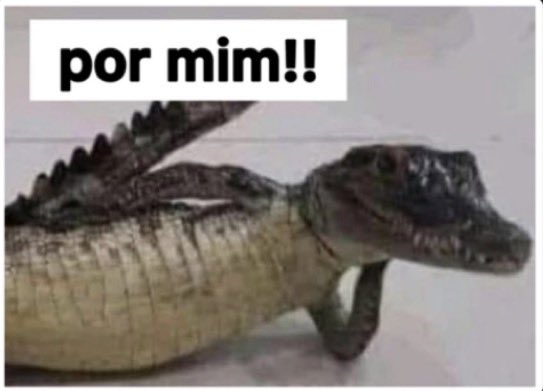 M. Dornel ⚖♊🚩 tweet media