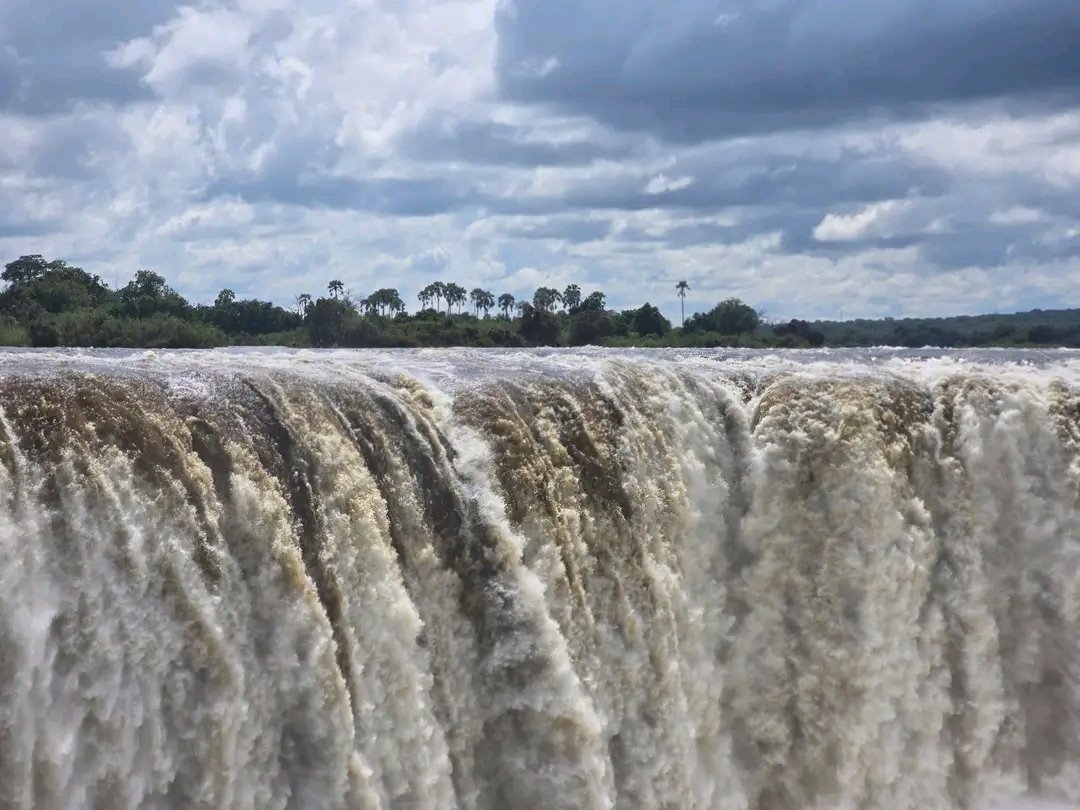 Charter Sights 🌺 tweet media