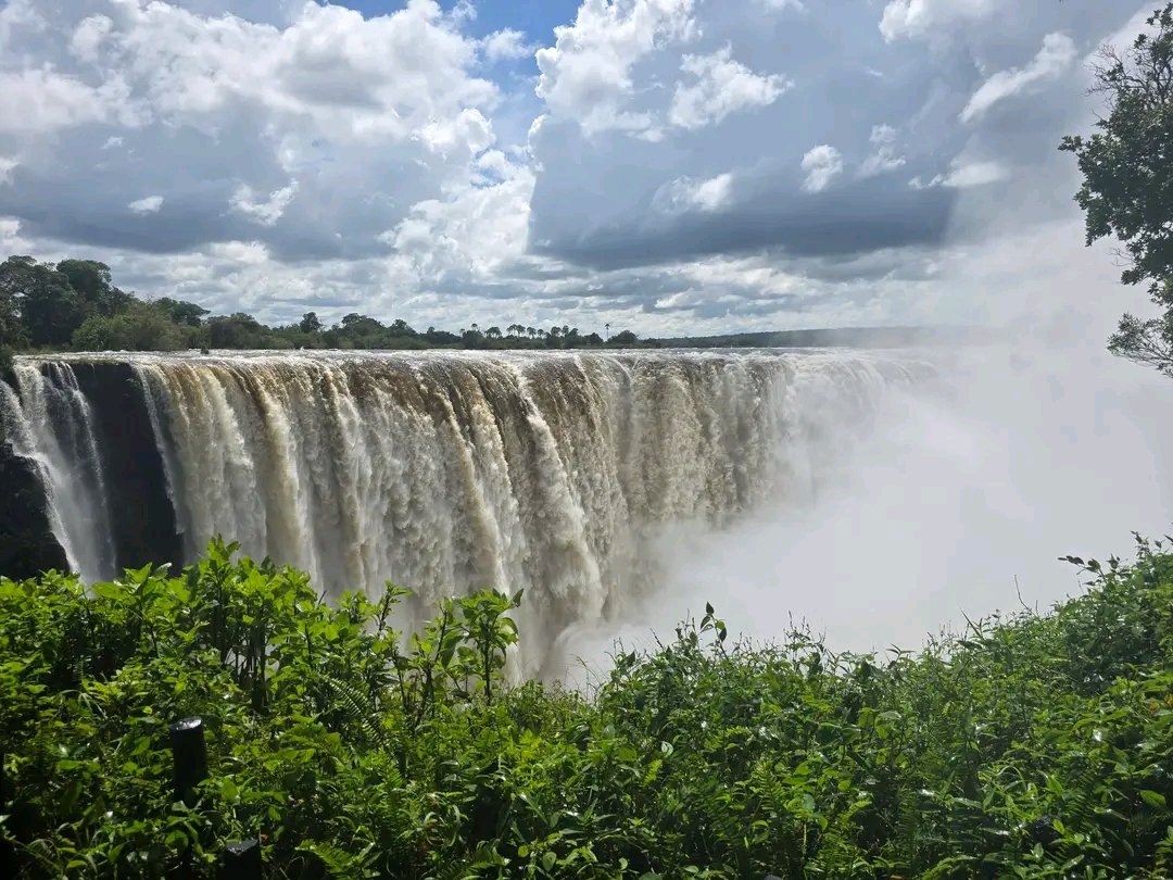 Charter Sights 🌺 tweet media