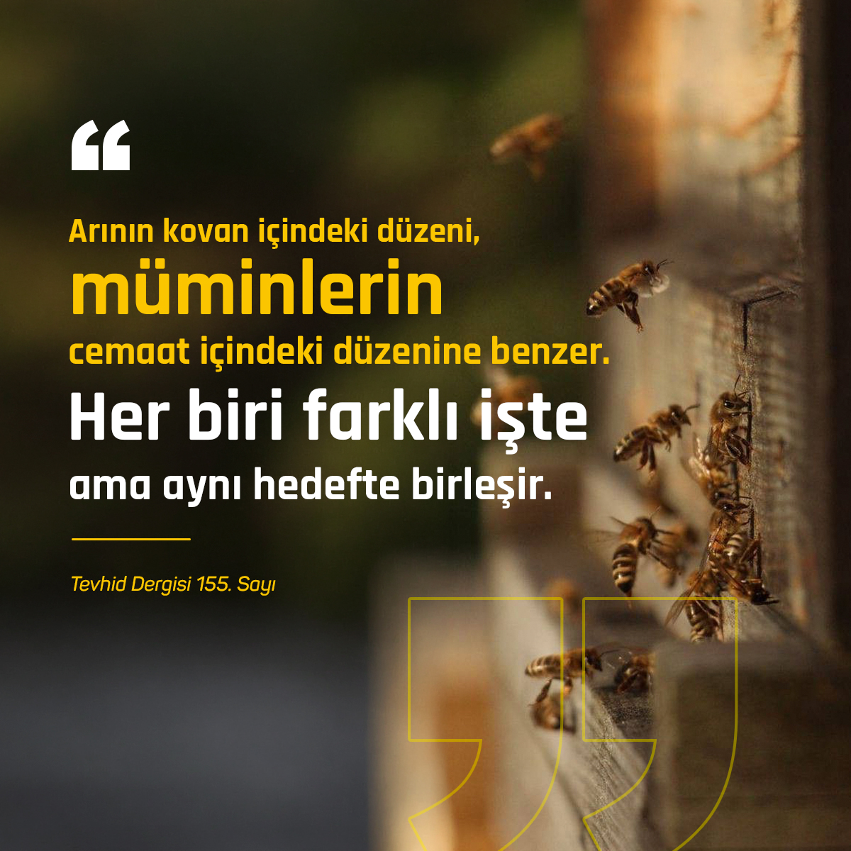 Tevhid Dergisi tweet media