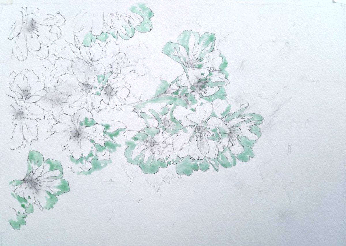 Manna🕊️🌿 tweet media