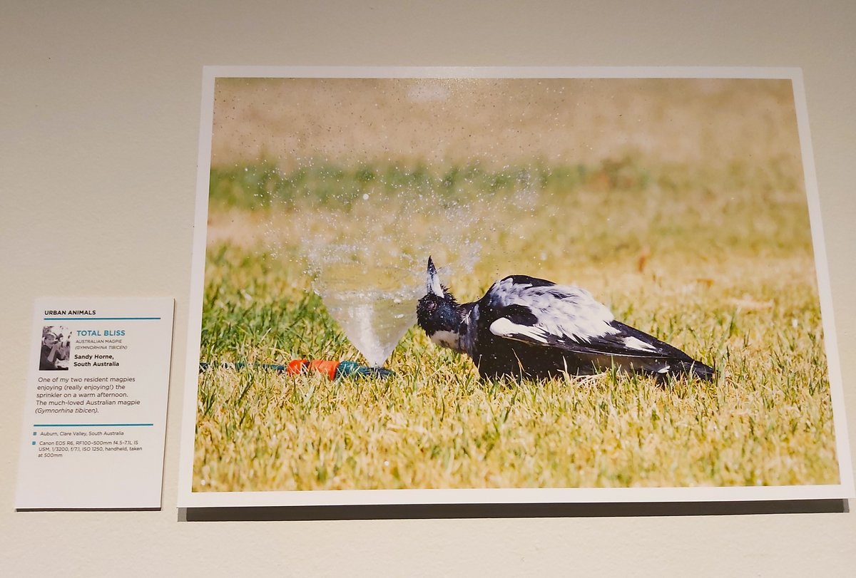 Sandy Horne tweet media