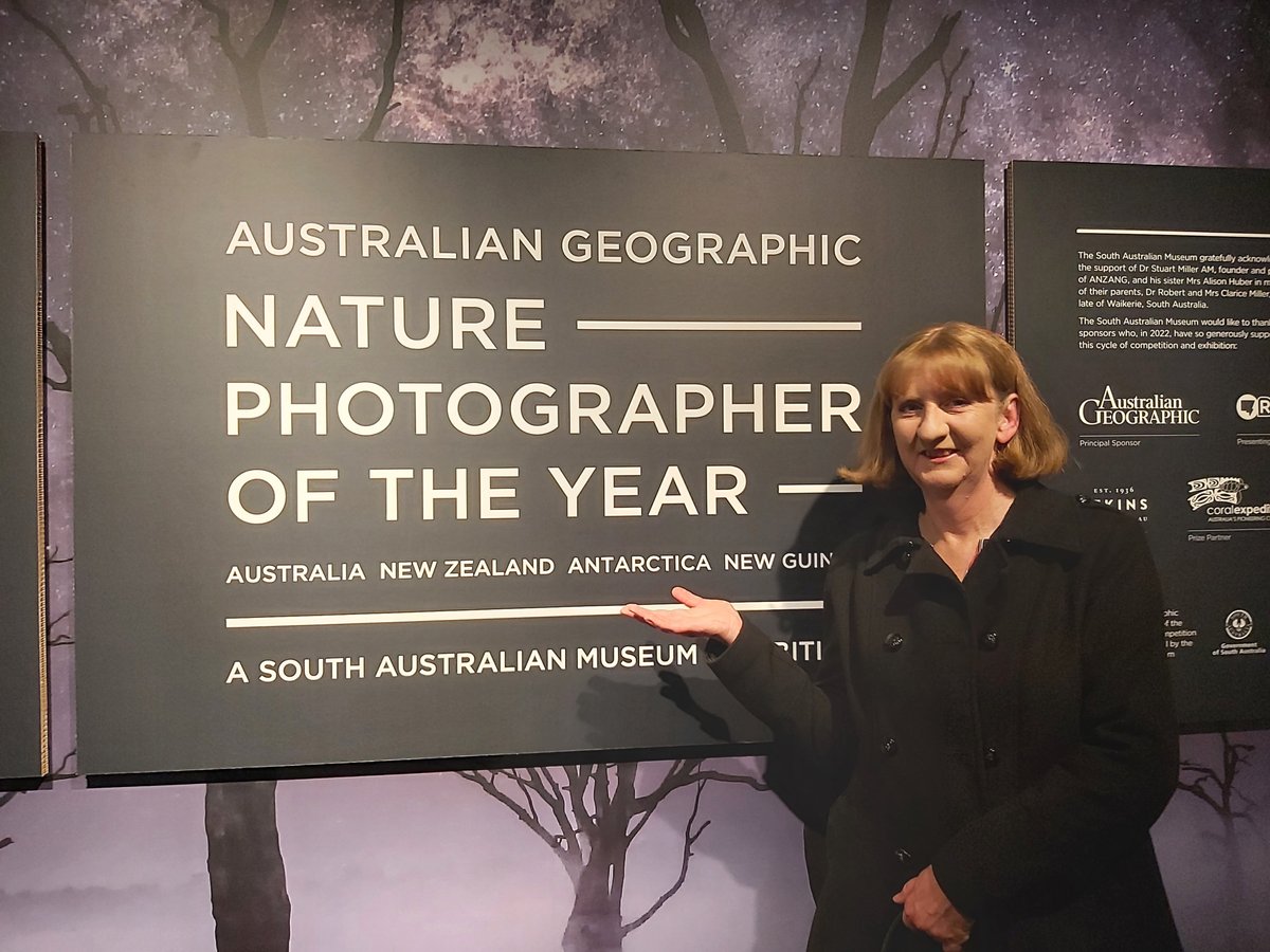 Sandy Horne tweet media