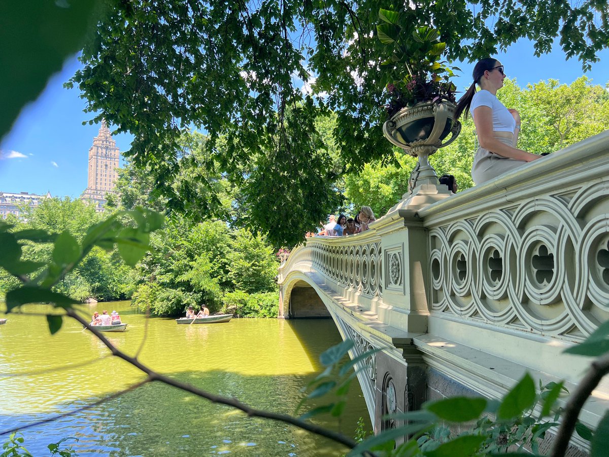 AllNewYorkFunTours tweet media