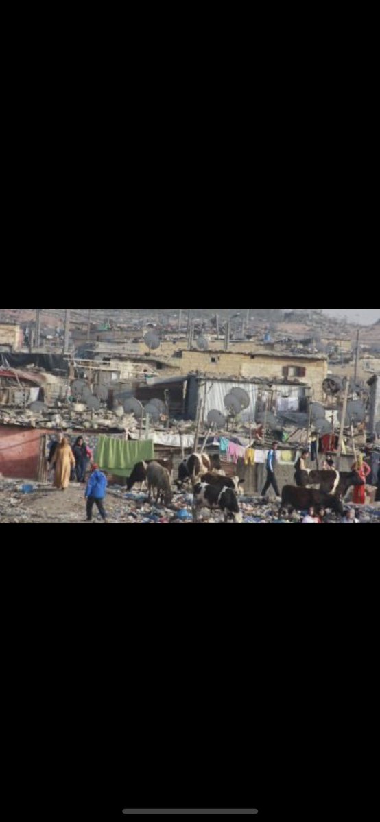 Chill guy tweet media