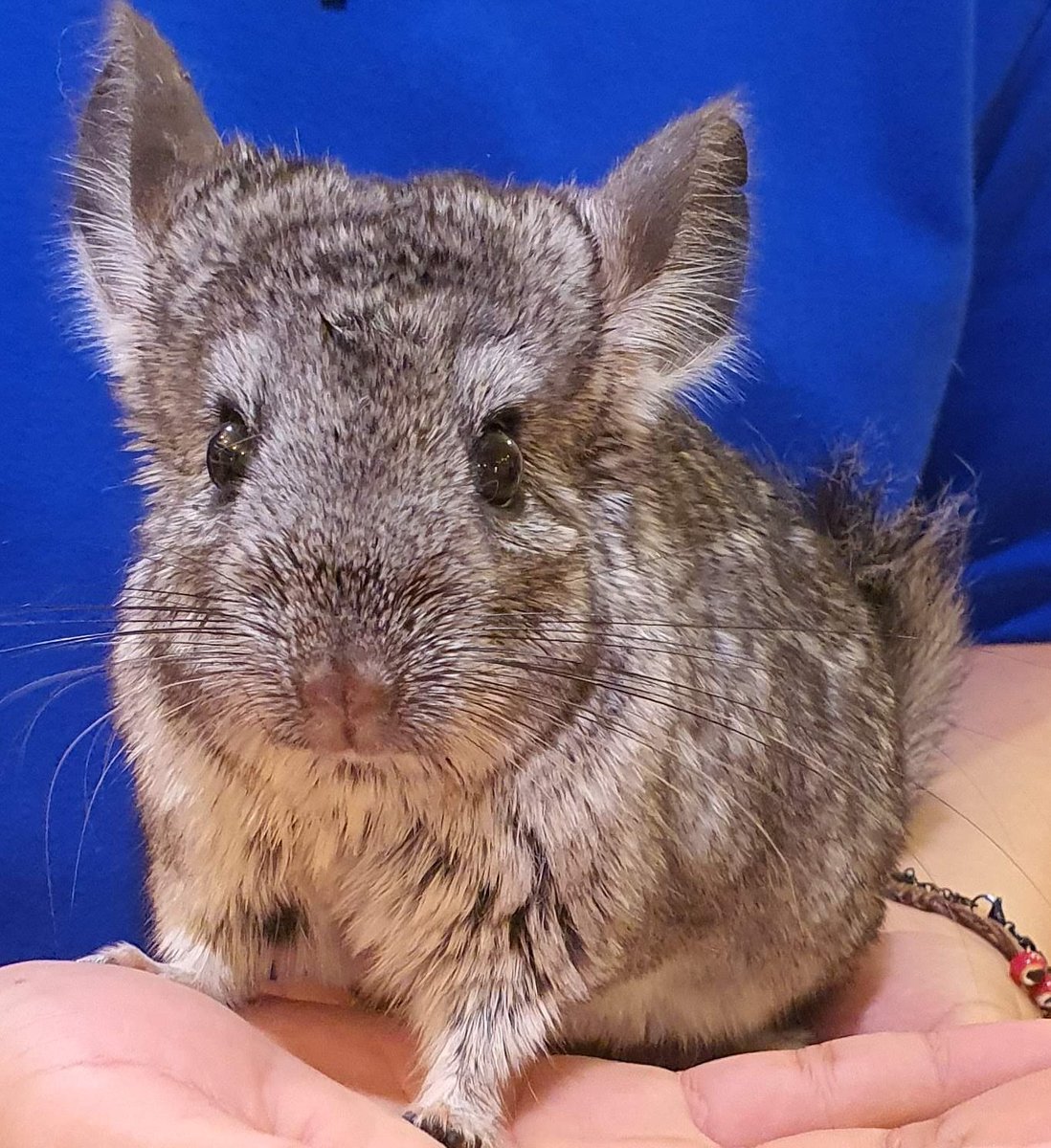 ⭐️은하수별사탕⭐️ tweet media