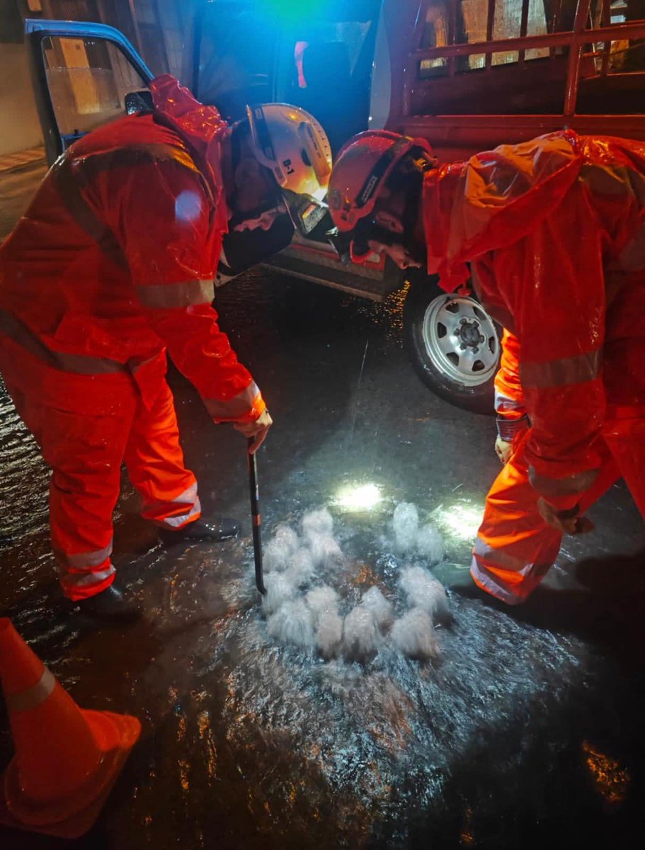 SyELosRealejos's tweet photo. ⛈️ 𝗕𝗢𝗥𝗥𝗔𝗦𝗖𝗔 𝗧𝗛𝗘𝗥𝗘𝗦𝗘 
En Los Realejos, con su PEMU activado, se intervino la pasada noche con efectivos de #PolicíaLocalLosRealejos y el apoyo de @AdeBVlosR y @civil_realejos, personal de las empresas públicas Realserv y Aquare.

Seguimos trabajando en positivo. https://t.co/ORnOE3UpkJ